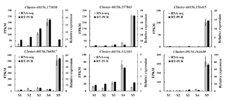 Comparative Transcriptome Analysis of Flower Senescence of <i>Camellia lutchuensis</i>.