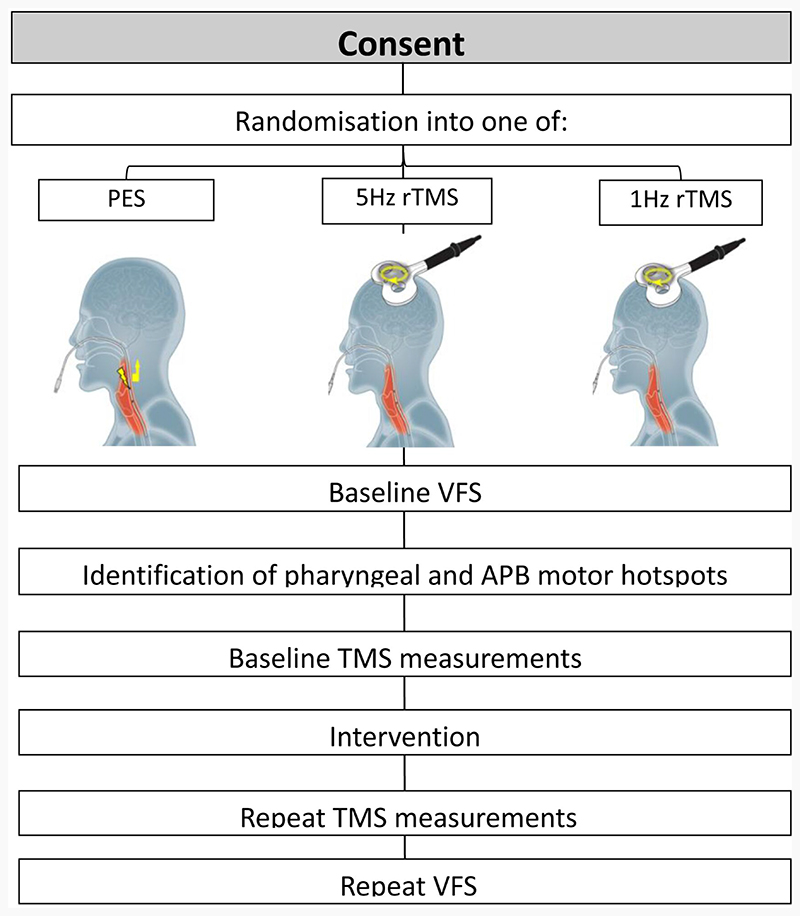 A feasibility pilot study of the effects of neurostimulation on swallowing function in Parkinson's Disease [version 2; peer review: 1 approved, 3 approved with reservations, 1 not approved].