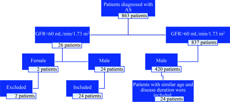 Anti-TNF treatment in ankylosing spondylitis patients with chronic kidney disease: Is it effective and safe?