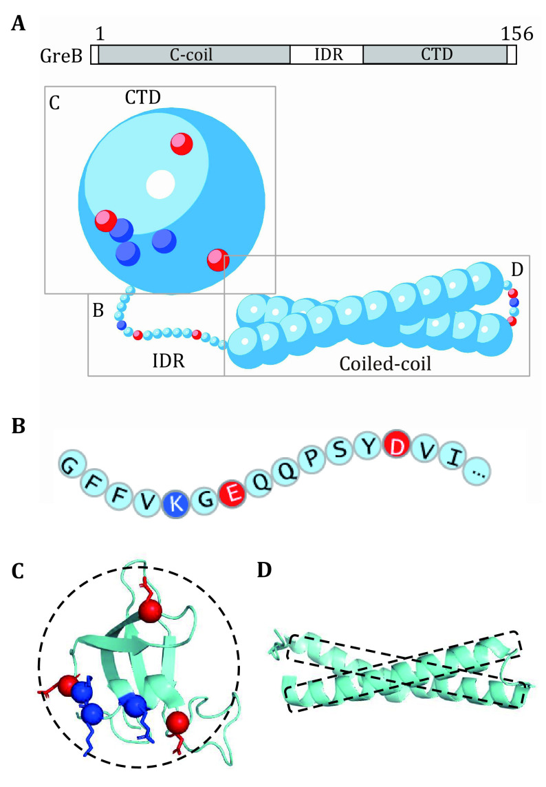 Theoretical modelling of liquid-liquid phase separation: from particle-based to field-based simulation.