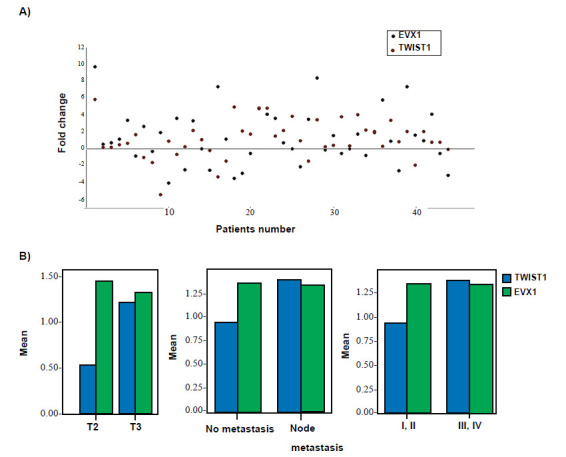 Contribution of TWIST1-EVX1 Axis in Invasiveness of Esophageal Squamous Cell Carcinoma; a Functional Study.