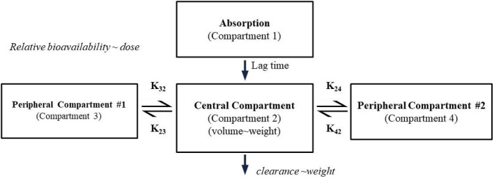 Population pharmacokinetic modeling and simulations of berotralstat for prophylactic treatment of attacks of hereditary angioedema.