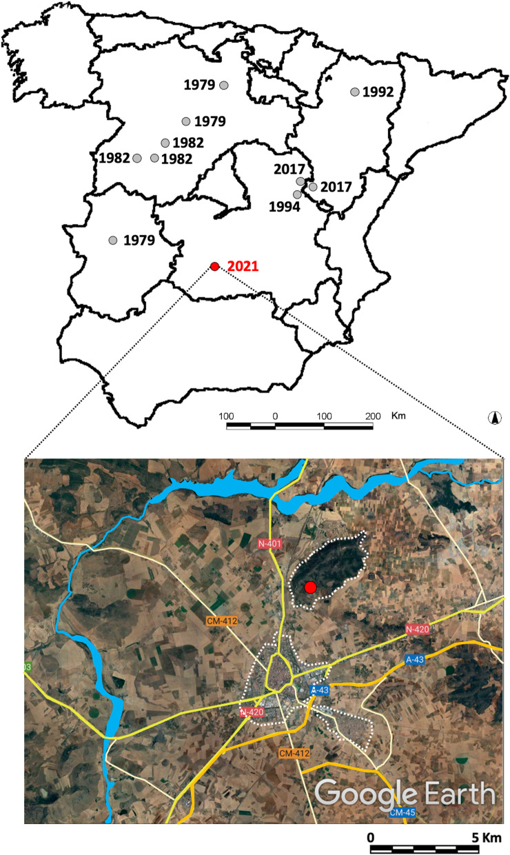 Confirmed presence of aedes (rusticoidus) refiki Medschid, 1928 in a continental dry Mediterranean peri-urban environment in south-central Spain.