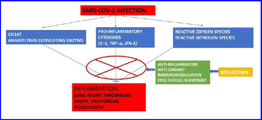 Perioperative melatonin in COVID-19 patients: benefits beyond sedation and analgesia.