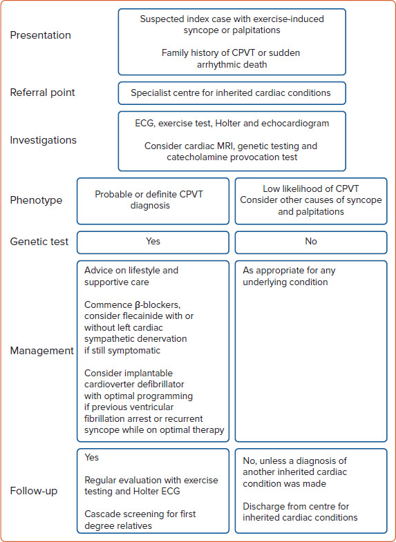 Catecholaminergic Polymorphic Ventricular Tachycardia.