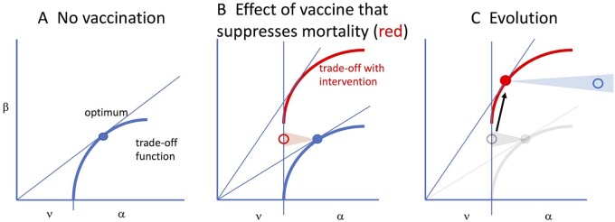 Which 'imperfect vaccines' encourage the evolution of higher virulence?