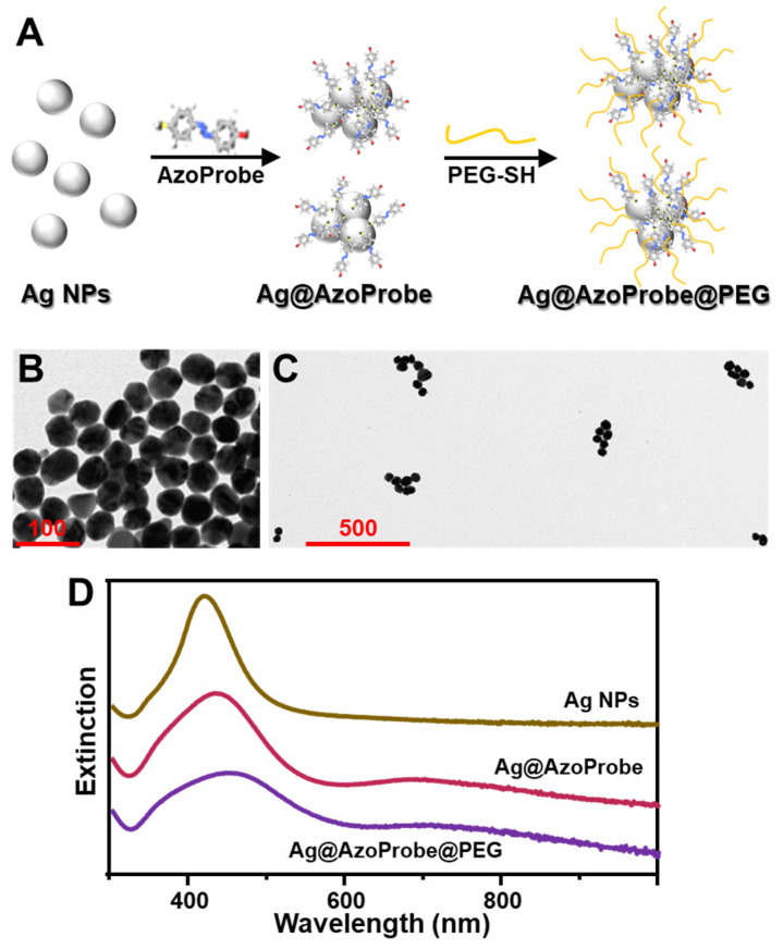 Plasmonic Azobenzene Chemoreporter for Surface-Enhanced Raman Scattering Detection of Biothiols.