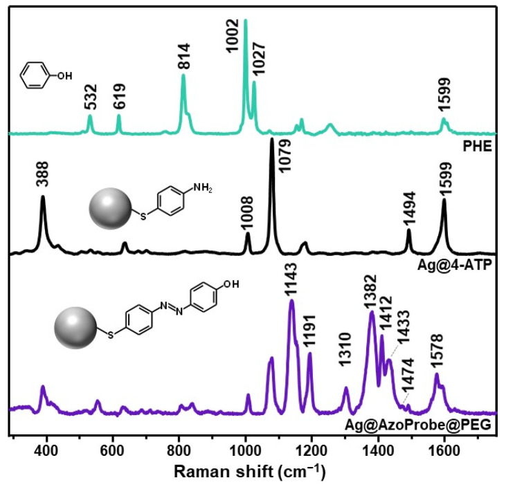 Plasmonic Azobenzene Chemoreporter for Surface-Enhanced Raman Scattering Detection of Biothiols.