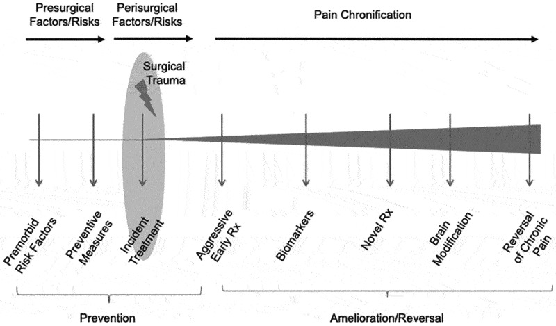 Preventing pediatric chronic postsurgical pain: Time for increased rigor.