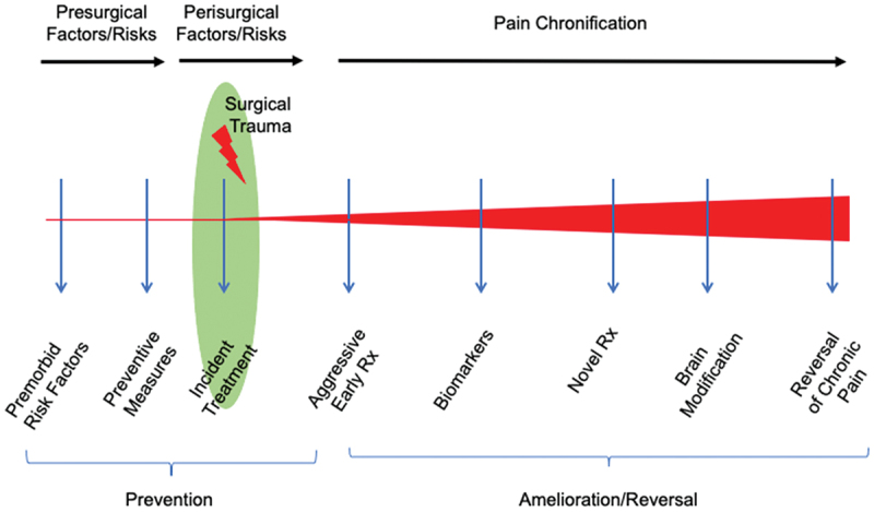 Preventing pediatric chronic postsurgical pain: Time for increased rigor.