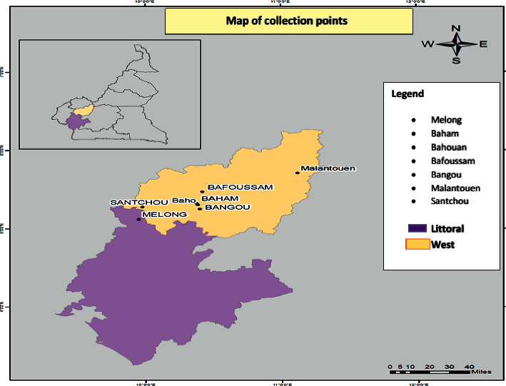 Ethnopharmacological Study of the Medicinal Plants Used in the Treatment of Sickle Cell Anemia in the West Region of Cameroon.