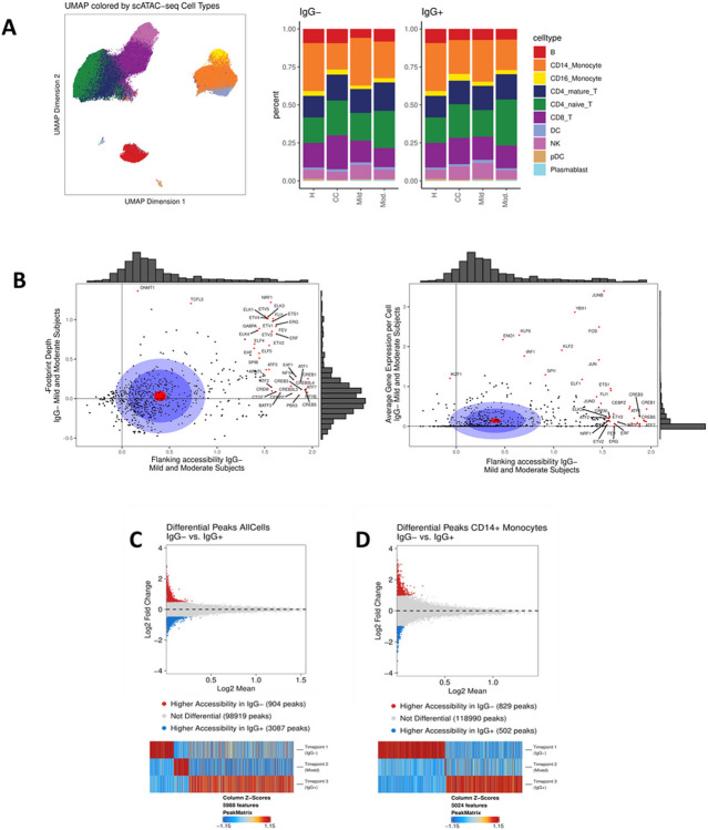 Differential chromatin accessibility in peripheral blood mononuclear cells underlies COVID-19 disease severity prior to seroconversion.