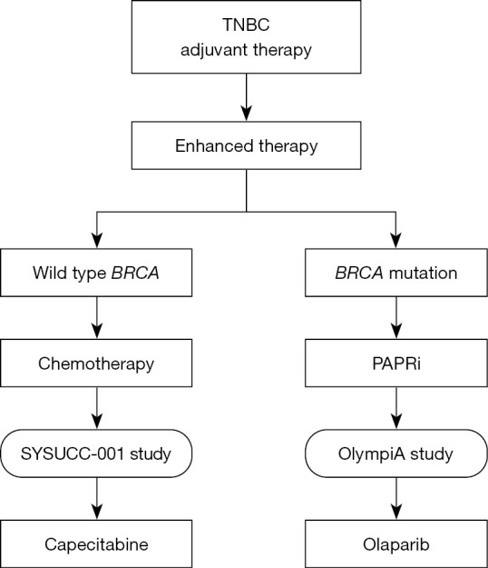 Chinese Society of Clinical Oncology Breast Cancer (CSCO BC) guideline update: adjuvant therapy for triple negative breast cancer in 2022.