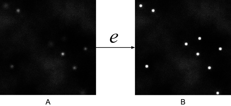 DeepSpot: A deep neural network for RNA spot enhancement in single-molecule fluorescence in-situ hybridization microscopy images.