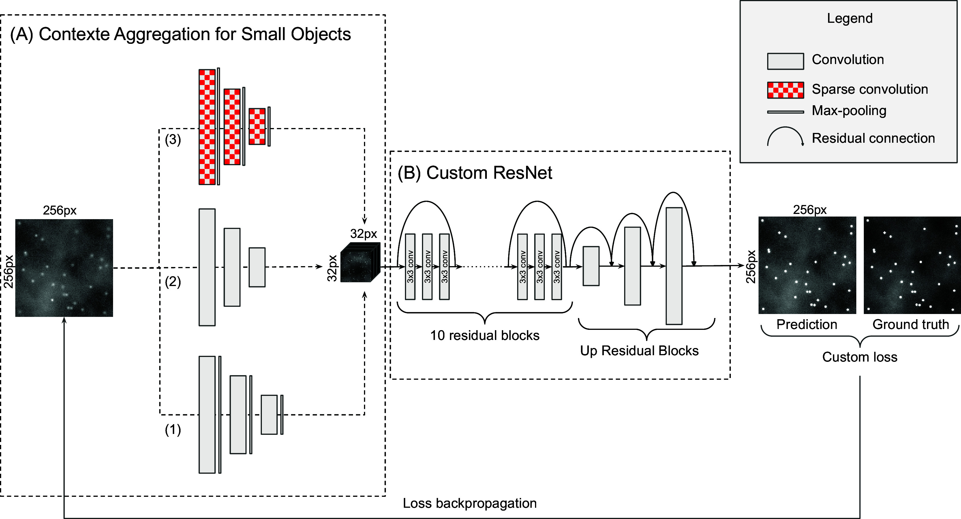 DeepSpot: A deep neural network for RNA spot enhancement in single-molecule fluorescence in-situ hybridization microscopy images.