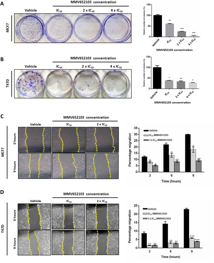 The diaryl-imidazopyridazine anti-plasmodial compound, MMV652103, exhibits anti-breast cancer activity.