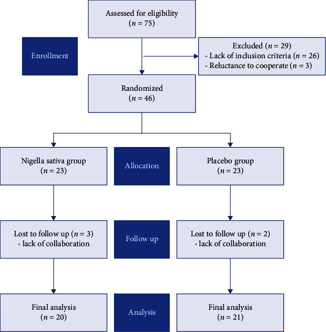 Effect of Nigella Sativa Oil on Oxidative Stress, Inflammatory, and Glycemic Control Indices in Diabetic Hemodialysis Patients: A Randomized Double-Blind, Controlled Trial.