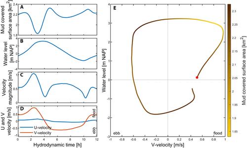 Observed and modelled tidal bar sedimentology reveals preservation bias against mud in estuarine stratigraphy