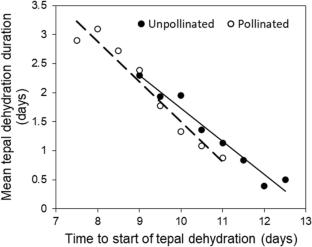 Pollination-associated shortening of the functional flower lifespan in an alpine species of Alstroemeria and the water content of flowers