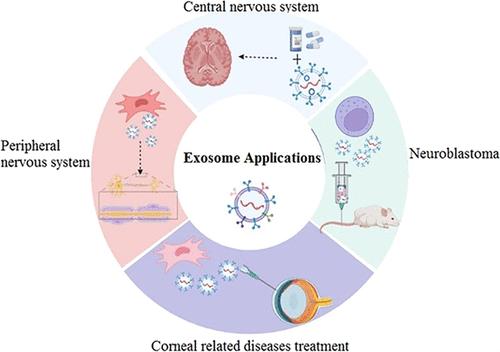 Exosomes as Neurological Nanosized Machines