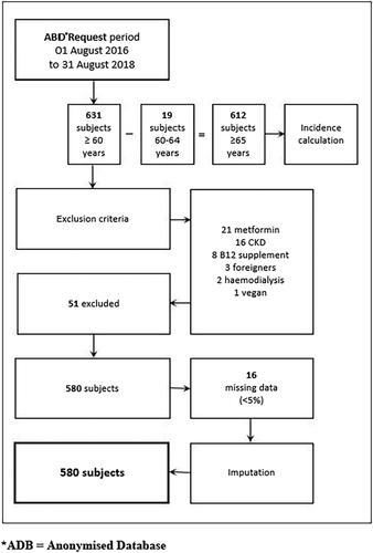 Are older adults with hip fractures a specific risk group for vitamin B12 deficiency?