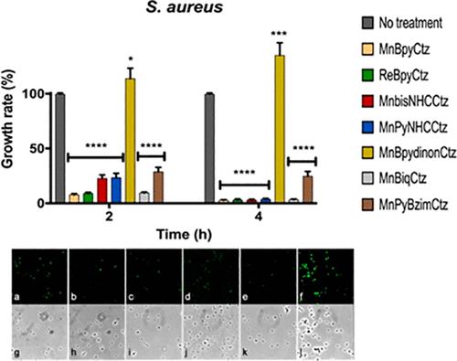 Synergetic Antimicrobial Activity and Mechanism of Clotrimazole-Linked CO-Releasing Molecules