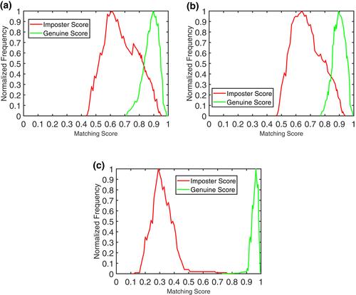 Time–frequency fusion learning for photoplethysmography biometric recognition