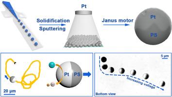 The effect of particle size on the dynamics of self-electrophoretic Janus micromotors, sputtering distribution, and rectifying voltage