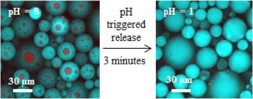 pH and ionic strength triggered destabilization of biocompatible stable water-in-oil-in-water (W/O/W) emulsions