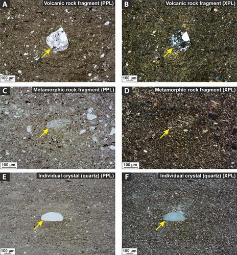 Sedimentologic and stratigraphic criteria to distinguish between basin-floor and slope mudstones: Implications for the delivery of mud to deep-water environments