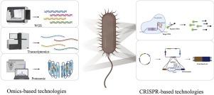 Cooperation and competition between CRISPR- and omics-based technologies in foodborne pathogens detection: a state of the art review