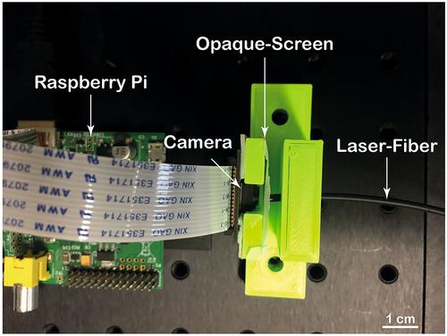 Random bit sequence generation from speckle patterns produced with multimode waveguides