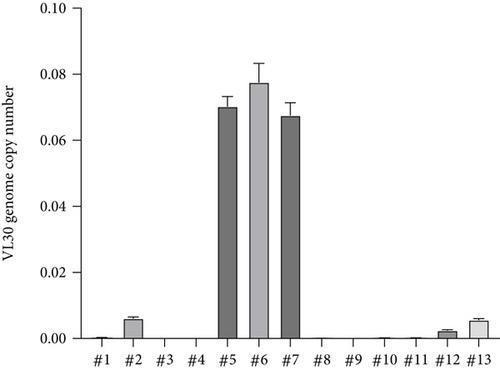 Inadvertent Transfer of Murine VL30 Retrotransposons to CAR-T Cells