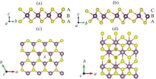 Investigation of Carbon Dioxide Interaction with Transition Metal Dichalcogenides by First Principles