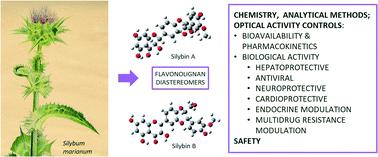 Silybin and its congeners: from traditional medicine to molecular effects†