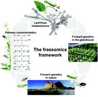 Harmonizing biosynthesis with post-ingestive modifications to understand the ecological functions of plant natural products