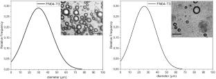 Rheological and Structural Study of Solid Lipid Microstructures Stabilized within a Lamellar Gel Network