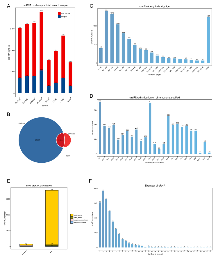 Comprehensive circular RNA expression profiling with associated ceRNA network in orbital venous malformation.