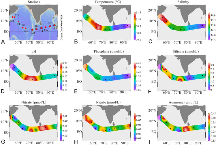 Metabolic tuning of a stable microbial community in the surface oligotrophic Indian Ocean revealed by integrated meta-omics.