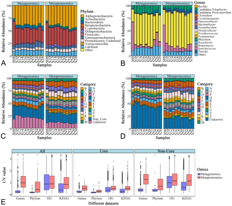 Metabolic tuning of a stable microbial community in the surface oligotrophic Indian Ocean revealed by integrated meta-omics.