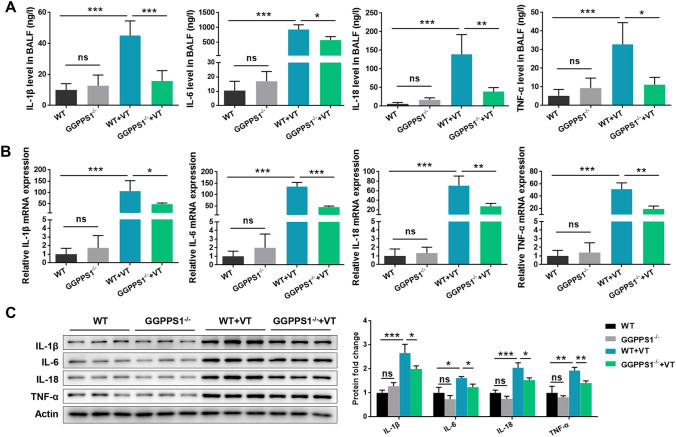 Knockout of GGPPS1 restrains rab37-mediated autophagy in response to ventilator-induced lung injury.