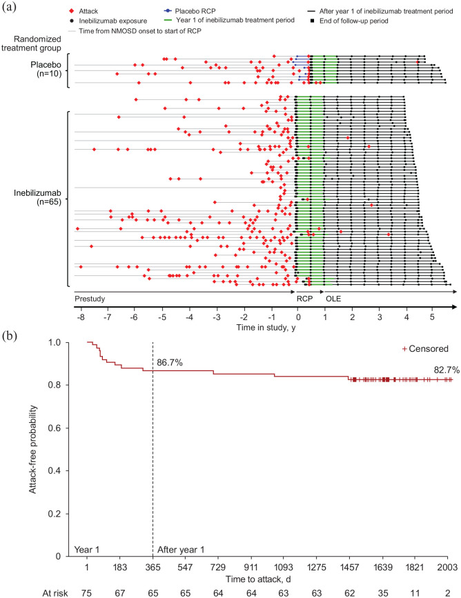 Long-term efficacy and safety of inebilizumab in neuromyelitis optica spectrum disorder: Analysis of aquaporin-4-immunoglobulin G-seropositive participants taking inebilizumab for ⩾4 years in the N-MOmentum trial.