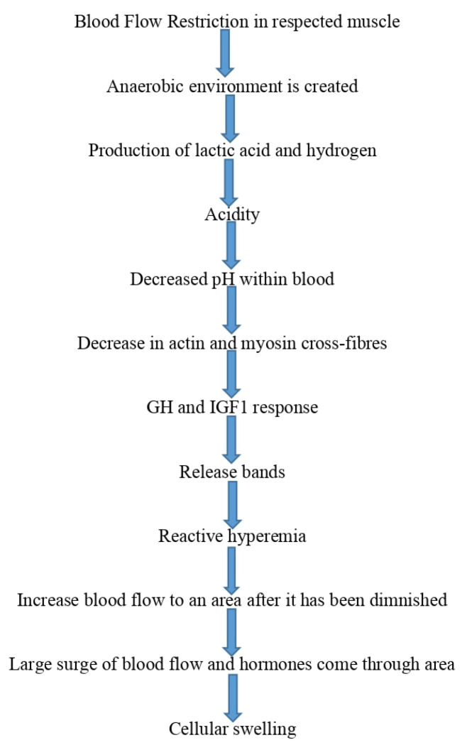 Blood Flow Restriction Training-An Overview and Implication in New Generation Physical Therapy: A Narrative Review.