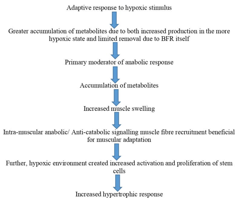 Blood Flow Restriction Training-An Overview and Implication in New Generation Physical Therapy: A Narrative Review.