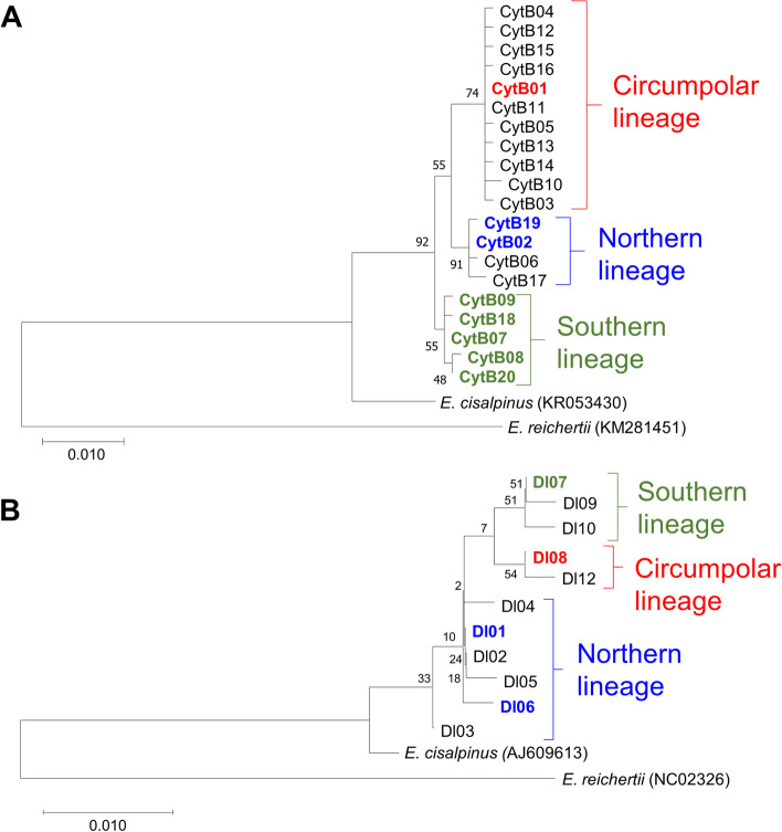 The mixed phylogenetic origin of northern pike (Esox lucius Linnaeus 1758) populations in the Middle Danubian drainage.