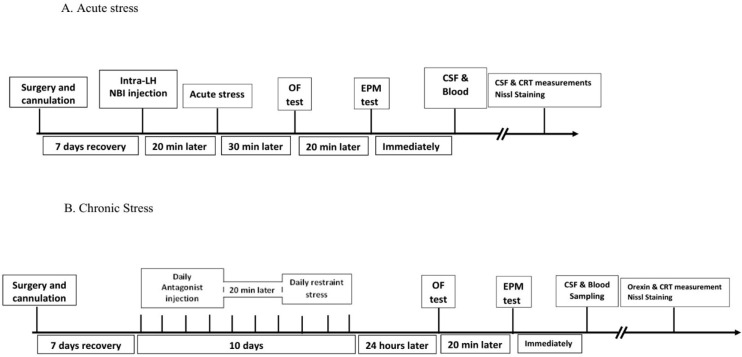 Lateral Hypothalamus Corticotropin-releasing Hormone Receptor-1 Inhibition and Modulating Stress-induced Anxiety Behavior.