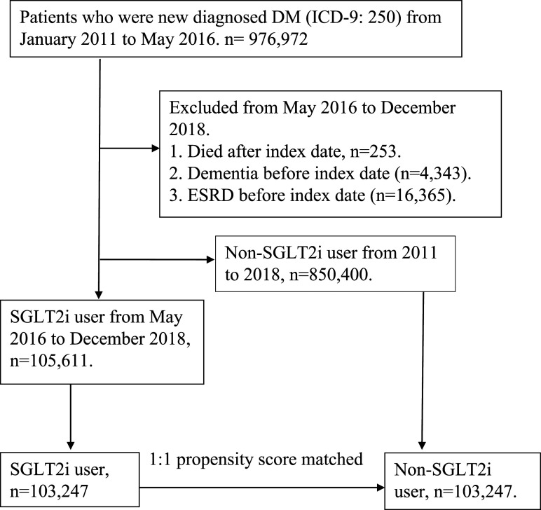 The association between sodium-glucose cotransporter 2 inhibitors and incident dementia: A nationwide population-based longitudinal cohort study.