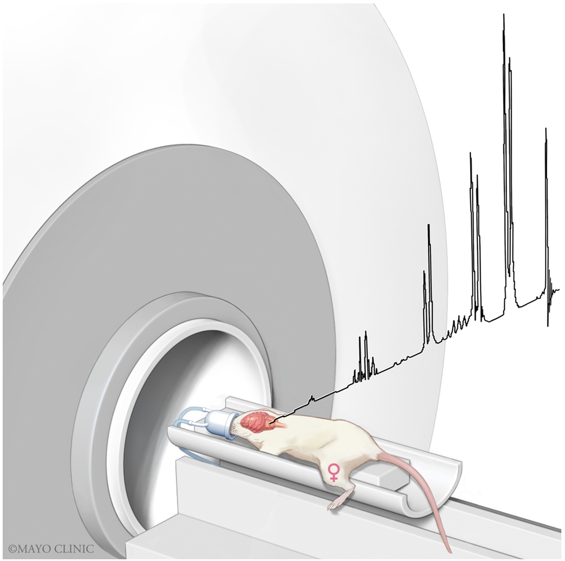 Deciphering the Role of <i>Klf10</i> in the Cerebellum.