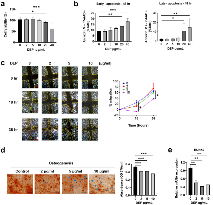 Diesel Exhaust Particles Impair Therapeutic Effect of Human Wharton's Jelly-Derived Mesenchymal Stem Cells against Experimental Colitis through ROS/ERK/cFos Signaling Pathway.