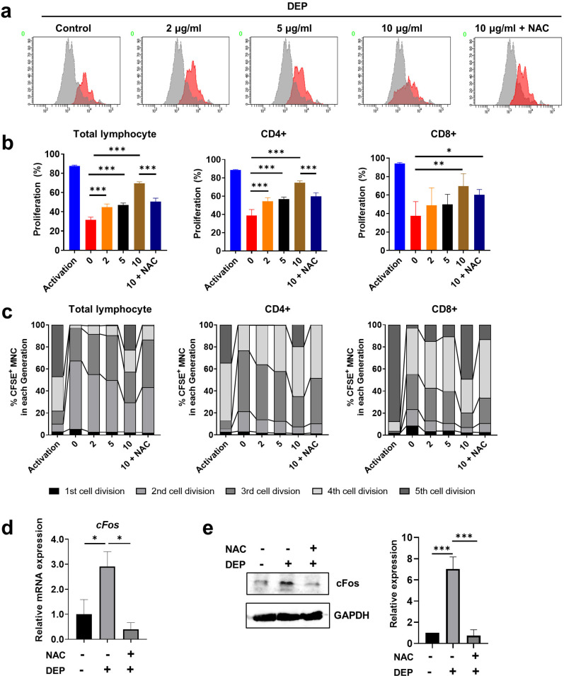 Diesel Exhaust Particles Impair Therapeutic Effect of Human Wharton's Jelly-Derived Mesenchymal Stem Cells against Experimental Colitis through ROS/ERK/cFos Signaling Pathway.